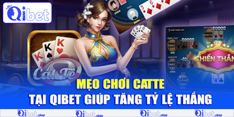 Mẹo chơi Catte tại Qibet giúp tăng tỷ lệ thắng
