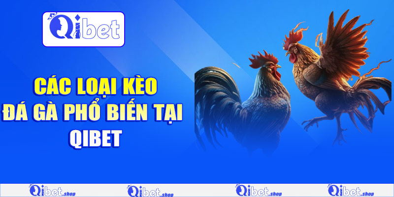 Các loại kèo đá gà phổ biến tại Qibet
