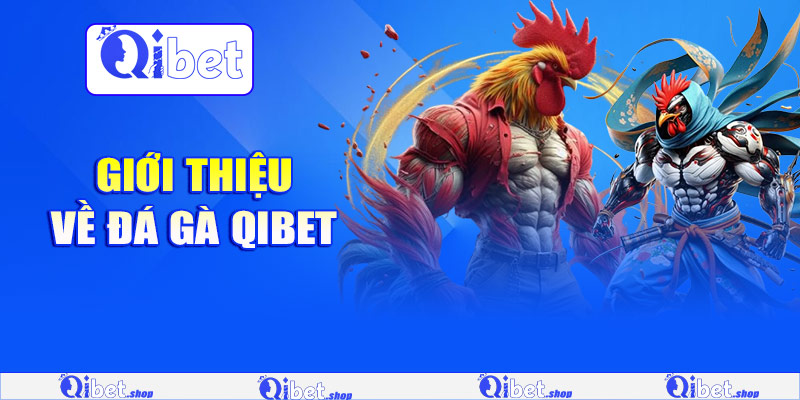 Giới thiệu về đá gà Qibet