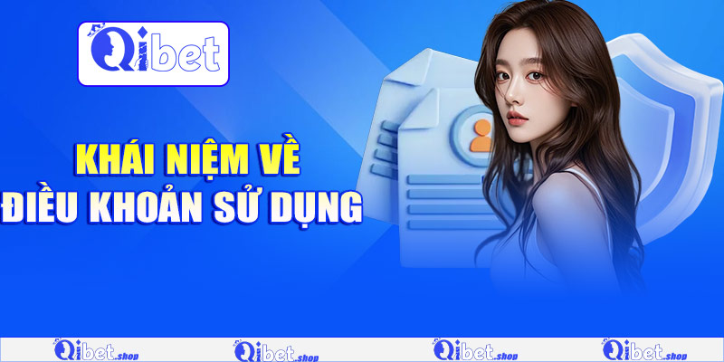 Khái niệm của điều khoản sử dụng 