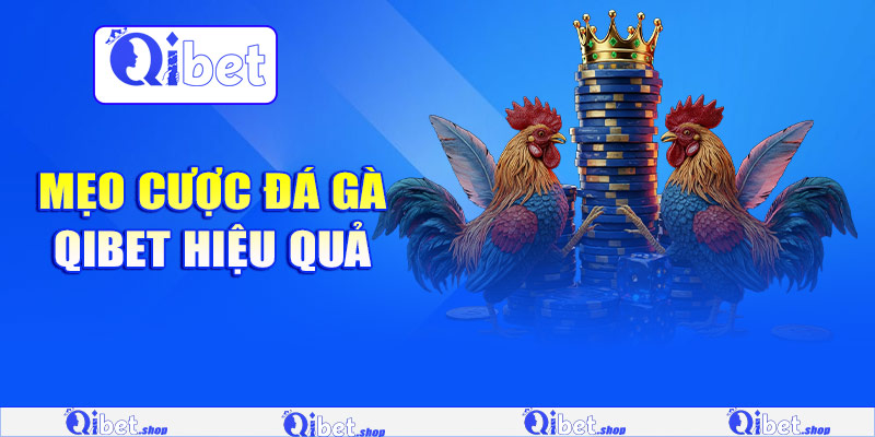Mẹo cược đá gà Qibet hiệu quả