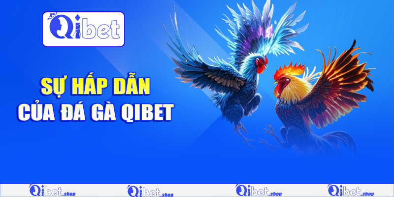 Sự hấp dẫn của đá gà Qibet