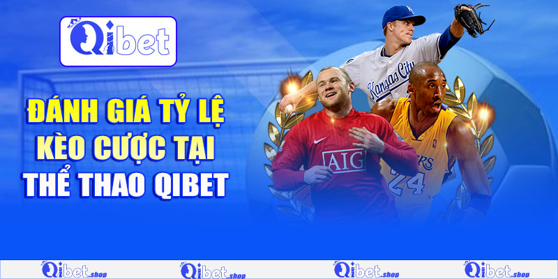 Đánh giá tỷ lệ kèo cược tại thể thao Qibet